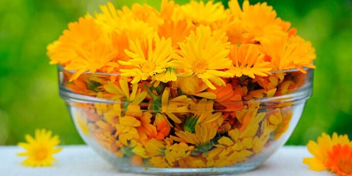 Marigold flowers to prepare an antifungal infusion