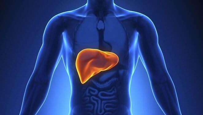 Systemic antifungals place greater strain on the liver