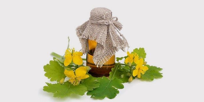 Celandine oil for athlete's foot